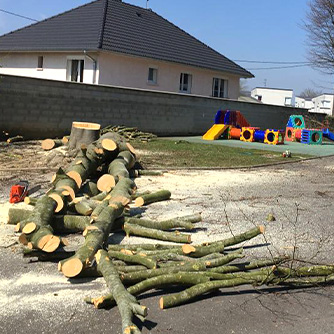 Coté Jardin 02 - Abattage d'abres